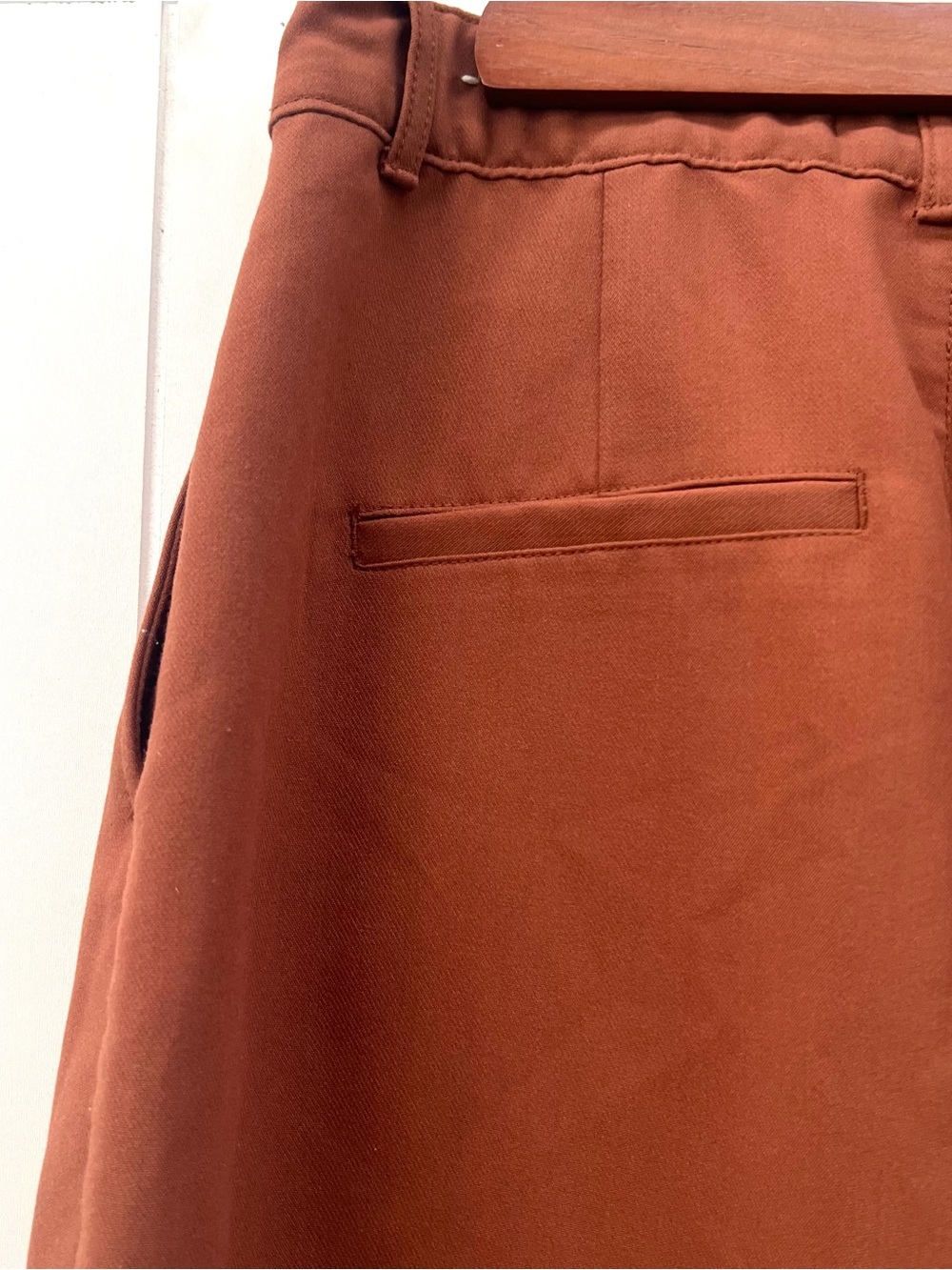 Abercrombie & Fitch Sloane Wide Leg Pants Rust Terracotta Pleated High Rise M - Picture 3 of 5